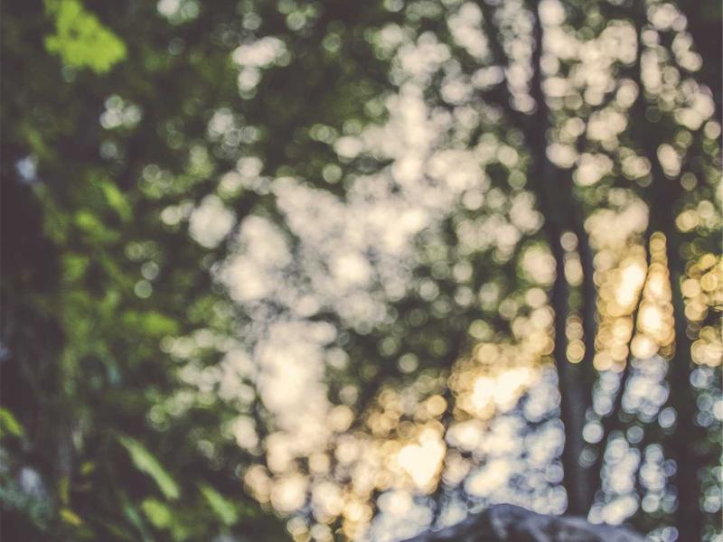流水别墅<br>aamotnk.cn 赖特有机建筑